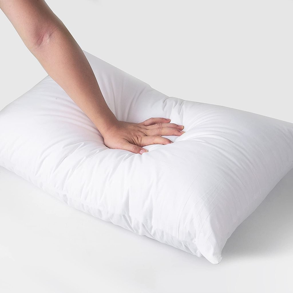 Vacuum Packed-pair Luxury Filled Pillow