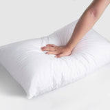 Vacuum Packed Filled Pillow Pair