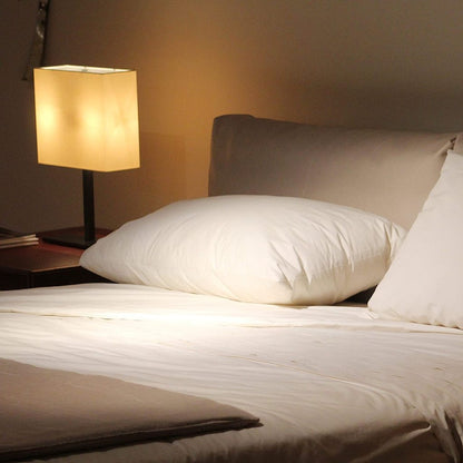 Vacuum Packed Filled Pillow Pair