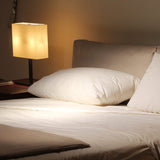 Vacuum Packed Filled Pillow Pair