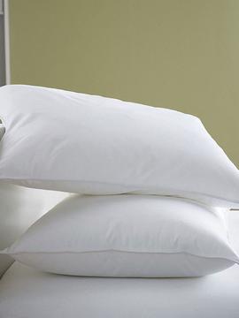Vacuum Packed-pair Luxury Filled Pillow