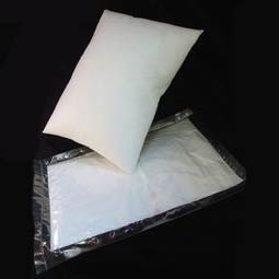 Vacuum Packed-pair Luxury Filled Pillow